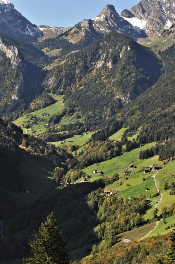 Ferienwohnung Ob Vierwaldsaettersee イゼンタール エクステリア 写真