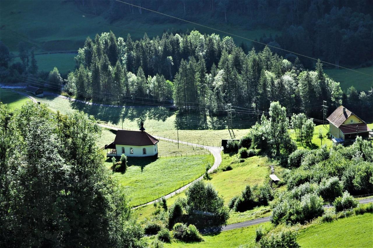 Ferienwohnung Ob Vierwaldsaettersee イゼンタール エクステリア 写真